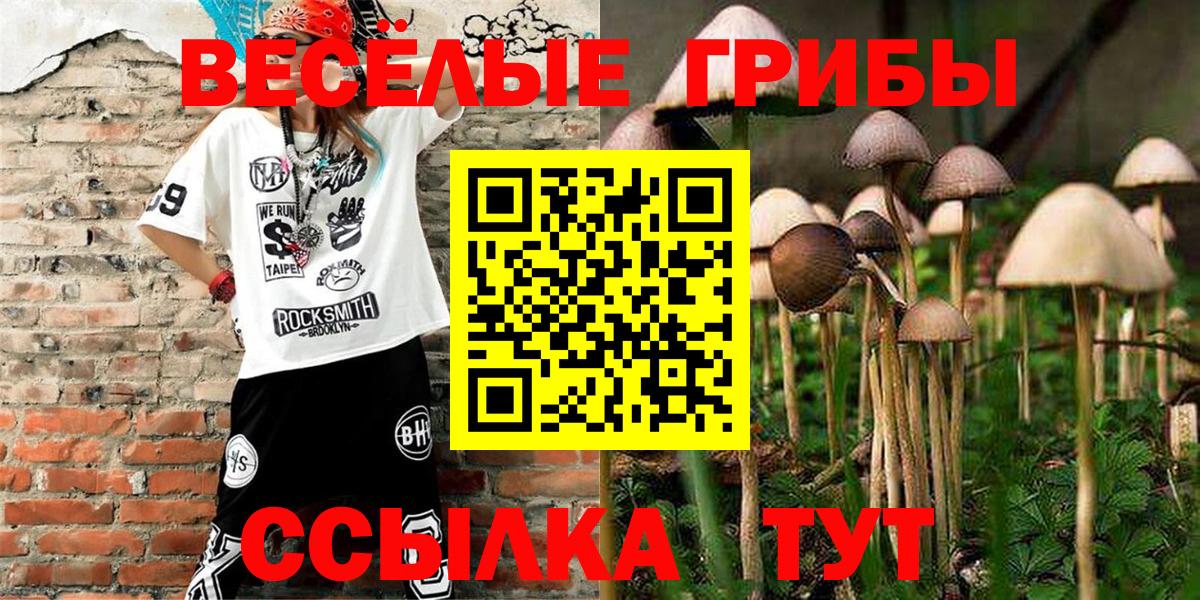 Борзя  Псилоцибиновые грибы Cubensis  купить наркотик  Вход с VPN 