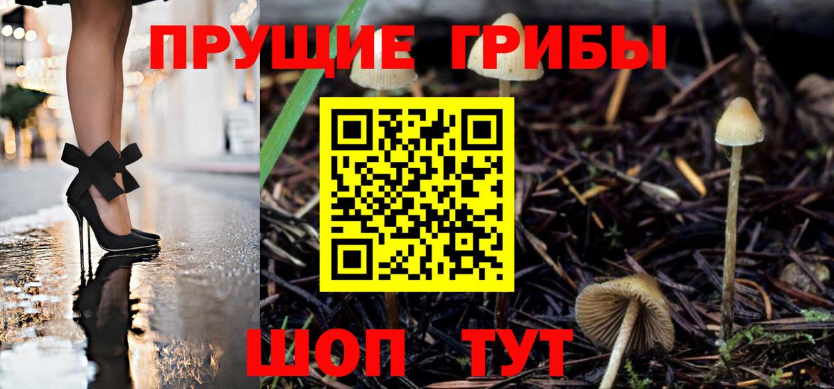 Галлюциногенные грибы ЛСД Борзя