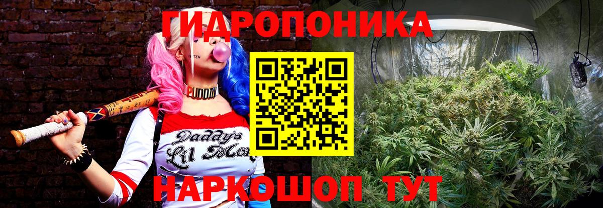 МАРИХУАНА LSD WEED  Вход с VPN  Бошки марихуана тримм  Бошки марихуана планчик  Борзя  Шишки марихуана LSD WEED 